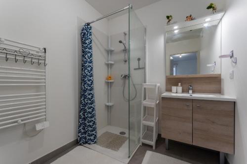 une salle de bain avec douche et lavabo dans l'établissement L'Arlésien - A 15 min du Parc Naturel Régional de Camargue, à Arles