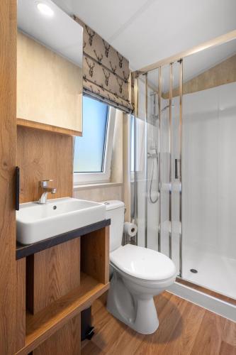 a bathroom with a toilet and a sink and a shower at Wendelstein Mountain Camp in Fischbachau