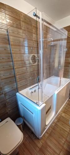 Un baño con ducha, inodoro y bañera. en La casa di Juliette, en Merone