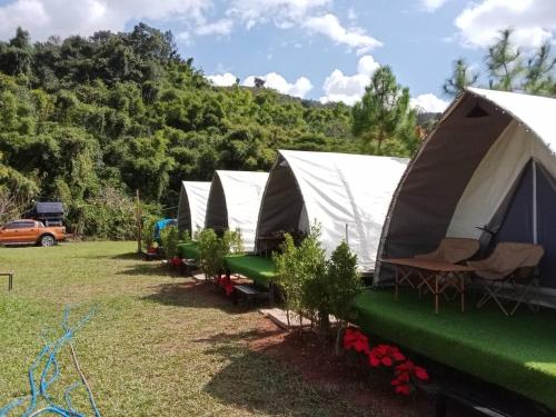 a row of tents parked in a field at แคมป์ปิ้ง อิงว้า กระโจม in Ban Huai Ti