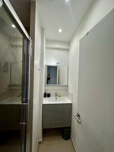 une salle de bain avec un lavabo et une douche dans l'établissement Surcouf appartements, à Paris