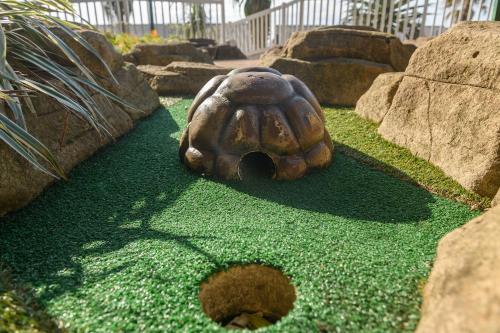 a statue of a turtle sitting on a field of grass at Illovo Beach Club in Amanzimtoti