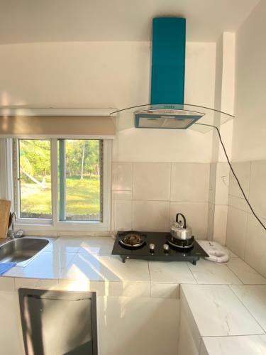 Kuchyň nebo kuchyňský kout v ubytování WhyNot Villa