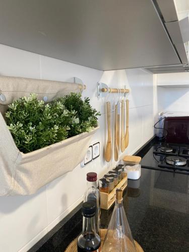 a kitchen with a counter top with a pot of herbs at Bajo en Pliego - Tranquillity and Natural Beauty in Pliego