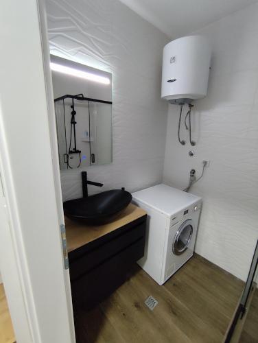 a bathroom with a sink and a washing machine at Stan na dan Lane Pale in Pale