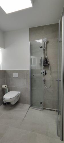 a bathroom with a shower with a toilet and a sink at Apartments Seibel Doppel-Zweibettzimmer mit Bad in Reutlingen