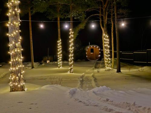 a park covered in lights in the snow at night at Rannamaja kümblustünni & saunaga in Haapse