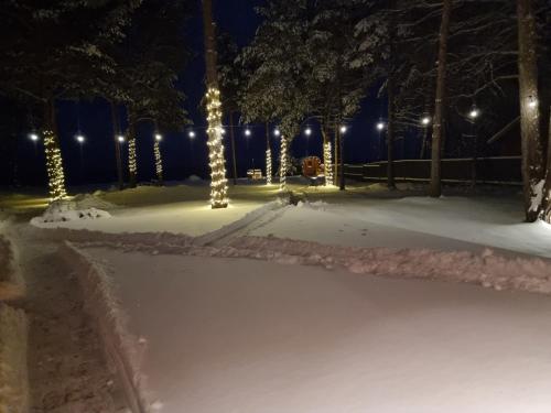 a park covered in snow at night with lights at Rannamaja kümblustünni & saunaga in Haapse