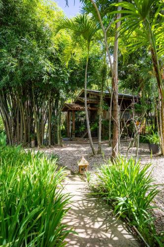 a garden with a bench and trees and a building at 11 Rooms in Chiang Dao