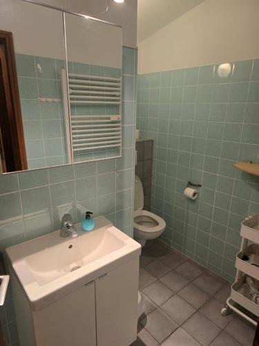 a bathroom with a sink and a toilet at App Steenbok 516 Kleinwalsertal in Mittelberg