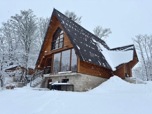 a house covered in snow in the woods at Vila Sun forest in Žabljak