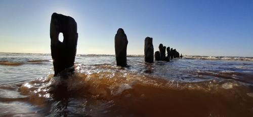a group of wooden posts sticking out of the water at Randas1 in Lielirbe