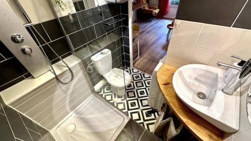 une salle de bain avec un lavabo et des toilettes dans l'établissement 093 - Le Terracotta -2 pers-Parking - Proche du centre, à Montpellier