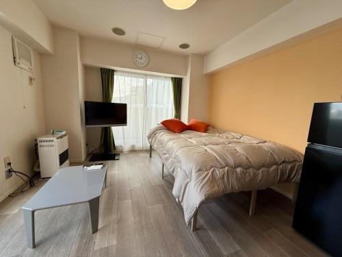 a living room with a couch and a tv at 5-6札幌中心部の豊平川が目の前の好立地で美室そして格安施設で快適な旅を in Sapporo
