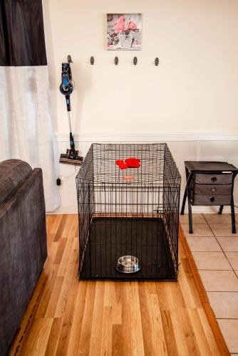 a bird cage sitting on the floor in a living room at 12 mi from Parris Island Cozy home in Beaufort