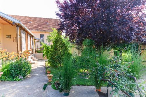 a garden with plants in front of a house at SPA apartman Tomin adults only in Soko Banja
