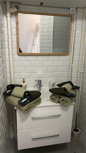 une salle de bain avec un lavabo et un miroir dans l'établissement Marbeuf - Lao Immo, à Grenoble