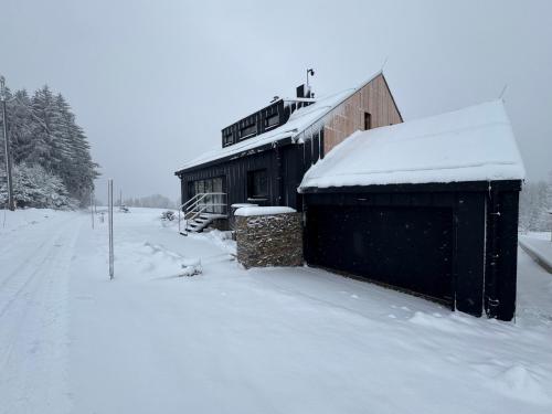 Aldrov Deerhouse v zimě