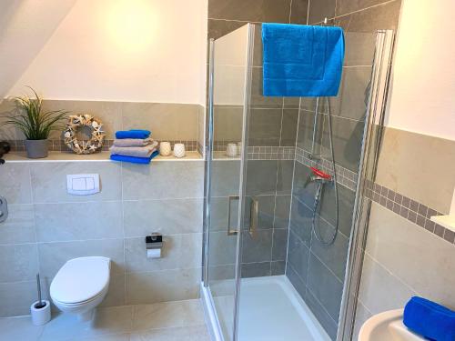 a bathroom with a shower with a toilet and a sink at Ferienwohnungen Arp "Nordsee" mit Balkon und Parkplatz in Itzehoe