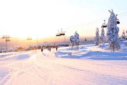 Gallery image of Holiday Villa QUU A in Ylläs