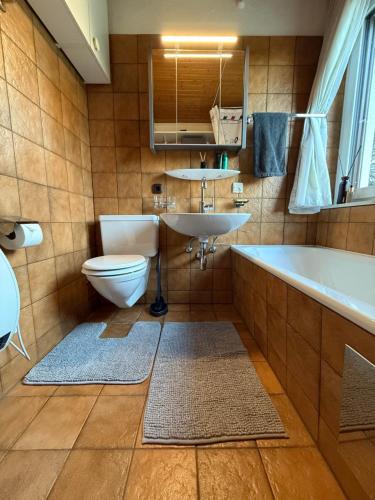 Kúpeľňa v ubytovaní BergNest Brandnertal