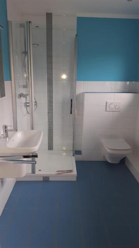 a bathroom with a shower and a sink and a toilet at Fehmarn Ostseeferien Ferienhaus Keinemann 113 1 in Püttsee