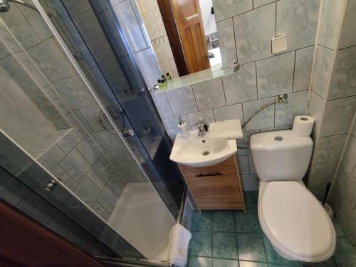 a bathroom with a toilet and a sink and a shower at Tatrzańska Panorama in Gliczarów
