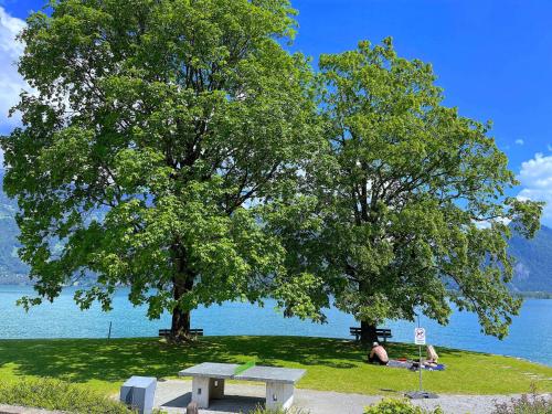 two people sitting under two trees near the water at SwissHut Stunning Views Alps Lake - Apart. Erli Down in Därligen