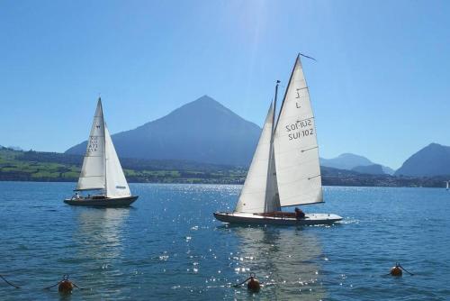 two sailboats on a lake with mountains in the background at SwissHut Stunning Views Alps Lake - Apart. Molly in Sigriswil