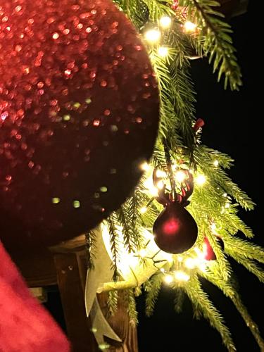 Fotografie z fotogalerie ubytování Villa Pelahia v destinaci Slavske