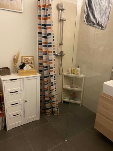 une salle de bain avec douche et lavabo dans l'établissement Superbe 3 pièce jardin, aux Lilas