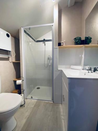 une salle de bain avec une douche, des toilettes et un lavabo dans l'établissement Joli Duplex - Centre ville - Amazonie, à Angers