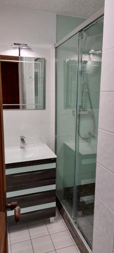une salle de bain avec douche et lavabo dans l'établissement Appartement skis aux pieds Méribel-Mottaret avec garage et wifi, à Méribel