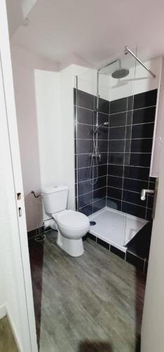 une salle de bain avec toilettes et douche en verre dans l'établissement 2 - Dagobert Cosy Studio Centre, à Perpignan