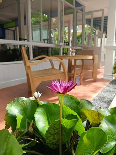 a purple flower in the middle of a house at Baan Debtida in Bangkok
