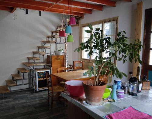 Chambres des Aubépines - Zénith