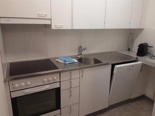 a kitchen with white cabinets and a sink at Ferienwohnungen Chesa Clois 24 Studios in Lenzerheide