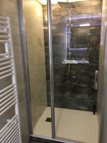 une douche avec une porte vitrée dans une salle de bain dans l'établissement Chez Laurence et Cédric, à Meistratzheim