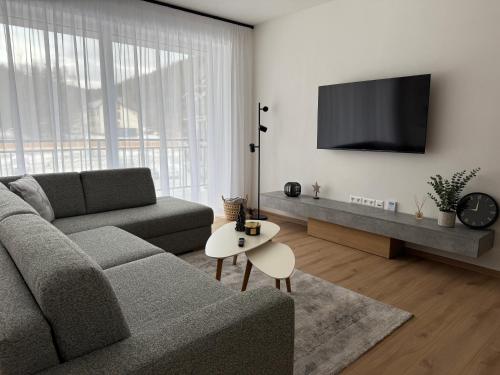 TV a/nebo společenská místnost v ubytování Brezovina Apartments Oravské Veselé - ORAVA
