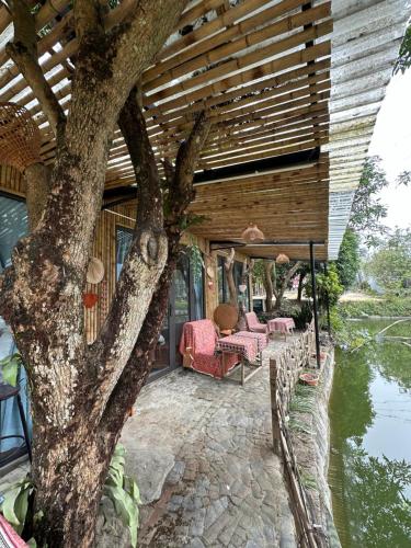 Сад в Wild Orchid- Lan Home