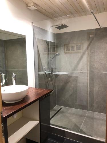 une salle de bain avec un lavabo et une douche en verre dans l'établissement Villa Les Vignes, à Le Revest-les-Eaux