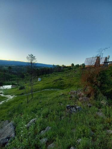 a grassy hill with a tree on top of it at Ventana al Champaqui in Yacanto