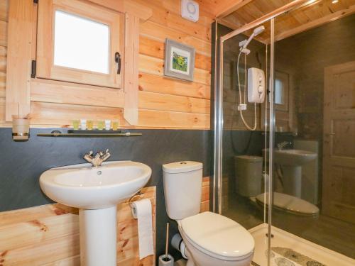 a bathroom with a toilet and a sink and a shower at Little Orchard Lodge in Truro