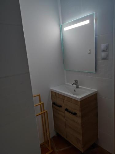 une salle de bain avec un lavabo et un miroir dans l'établissement Le Loft au fil de l'eau, à Saulzoir