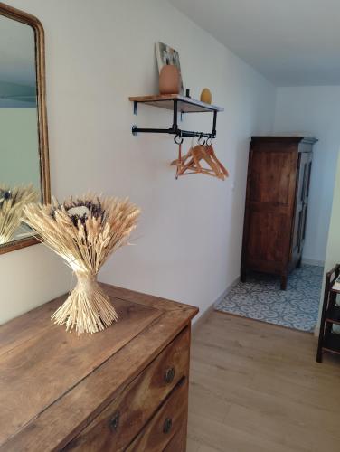 Cette chambre comprend une commode en bois et un miroir. dans l'établissement Loft rez de jardin, à Forcalquier