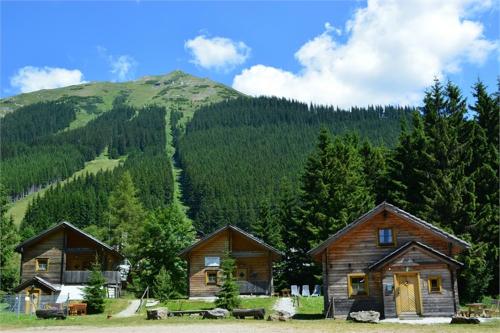 a couple of houses in front of a mountain at Almdorf Präbichl in Vordernberg