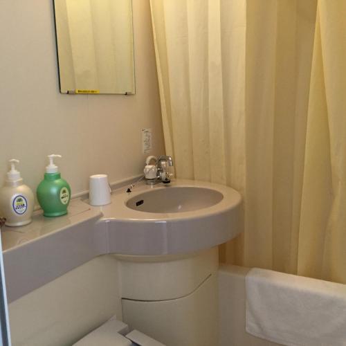 a bathroom with a sink and a mirror at Schole Hakuba in Hakuba