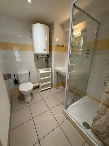 une salle de bain avec toilettes, lavabo et douche dans l'établissement Le clos d'Aix studio 113 parking et piscine gratuite, à Aix-en-Provence