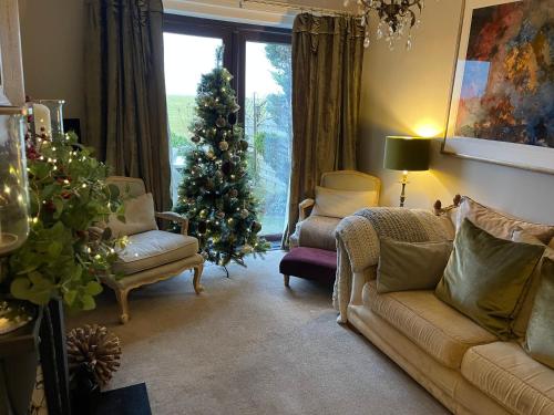 a living room with a christmas tree in front of a window at Woodend Cottage in Dumfries