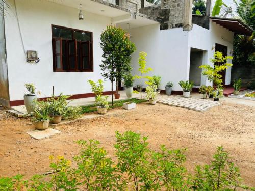 a house with a lot of potted plants in front of it at Villa Ocean Whisper in Induruwa